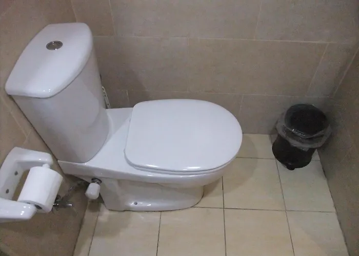 Apartment Bosha *